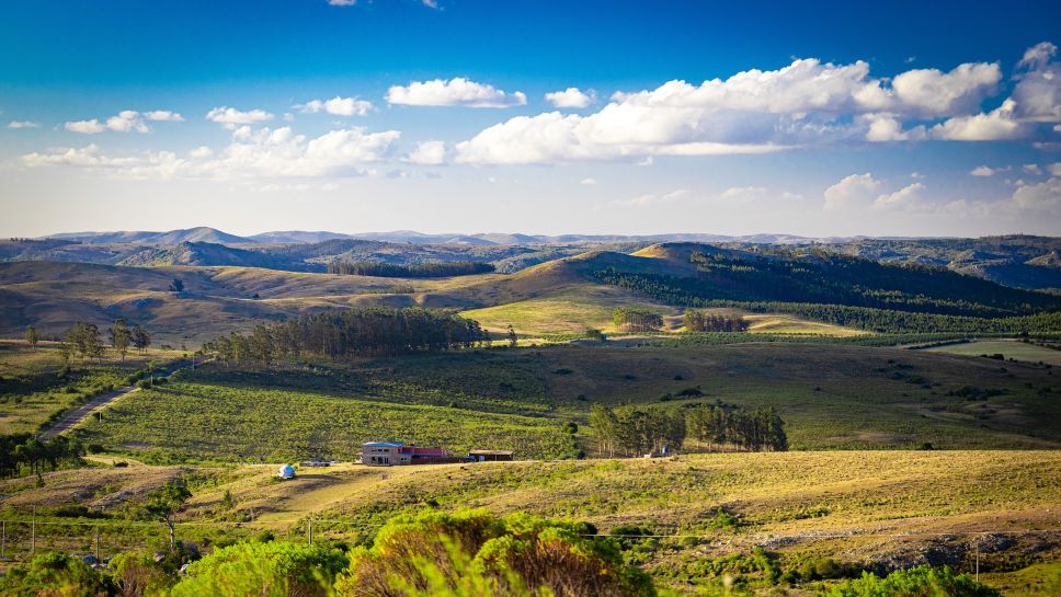 Hüglige Landschaft in Uruguays Sierra im Deparmento Lavalleja
